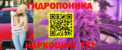 гашик Заволжье