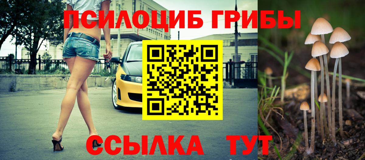 Псилоцибиновые грибы мицелий  Вход с VPN  Галлюциногенные грибы мицелий  Королёв 